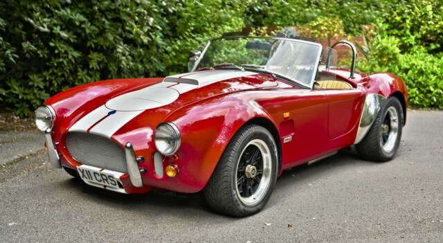 Image 1/50 of AC Cobra 289 (2000)