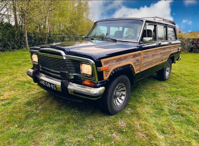 Image 1/8 of Jeep Grand Wagoneer (1965)