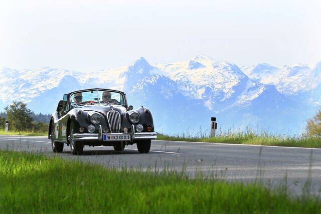 Bild 1/82 von Jaguar XK 140 DHC (1956)