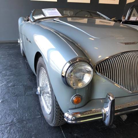Image 1/49 of Austin-Healey 100/4 (BN1) (1954)