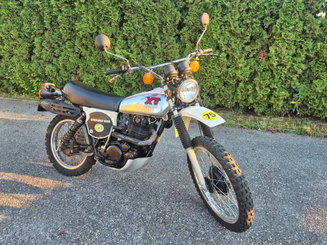 Afbeelding 1/20 van Yamaha XT 500 (1979)