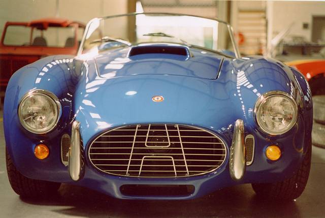 Bild 1/6 von Hayden Cobra 427 (1965)