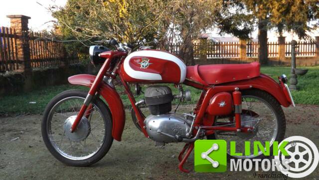 Afbeelding 1/10 van MV Agusta DUMMY (1954)