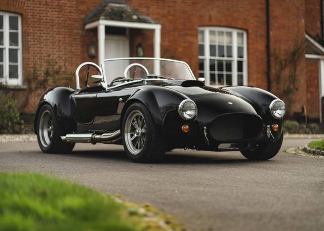 Bild 1/11 von Backdraft Cobra (2012)