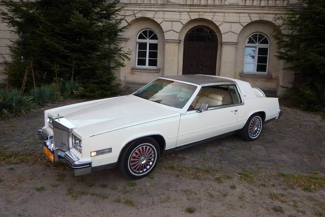 Bild 1/42 von Cadillac Eldorado Biarritz Coupé (1984)