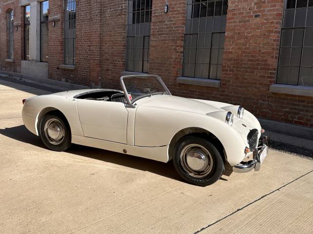 Austin Healey Sprite MK I - Frogeye - in weiß