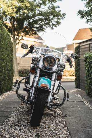 Immagine 1/33 di Harley-Davidson DUMMY (1989)