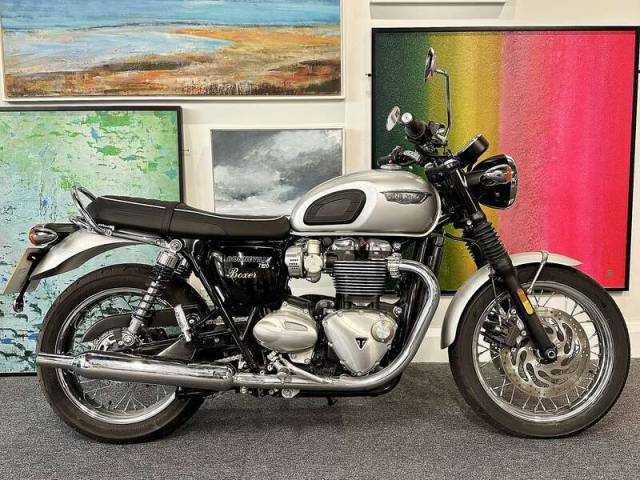 Image 1/11 de Triumph DUMMY (2019)