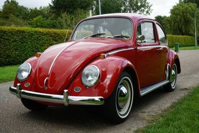 Immagine 1/7 di Volkswagen Maggiolino 1200 (1965)