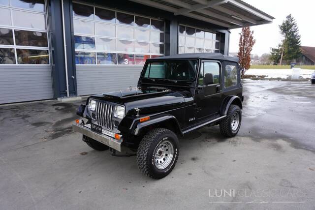 Image 1/50 de Jeep Wrangler 4.0 (1992)