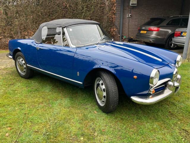 Image 1/7 of Alfa Romeo Giulietta Spider (1963)