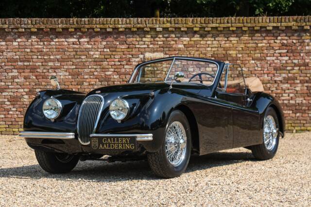 Image 1/50 de Jaguar XK 120 DHC (1953)