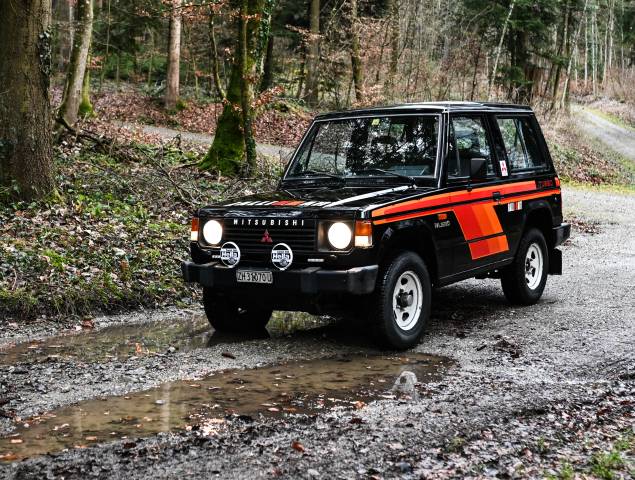 Image 1/31 de Mitsubishi Shogun TD (1988)