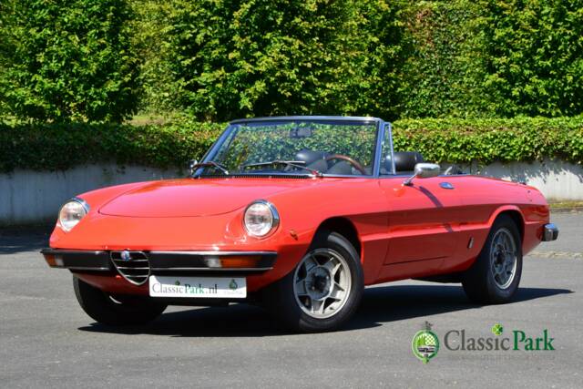 Bild 1/50 von Alfa Romeo 2000 Spider Veloce (1981)