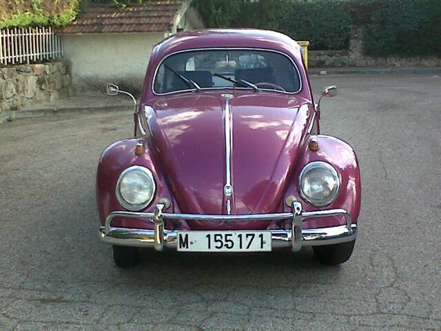 Image 1/15 de Volkswagen Coccinelle 1200 Standard &quot;Oval&quot; (1956)