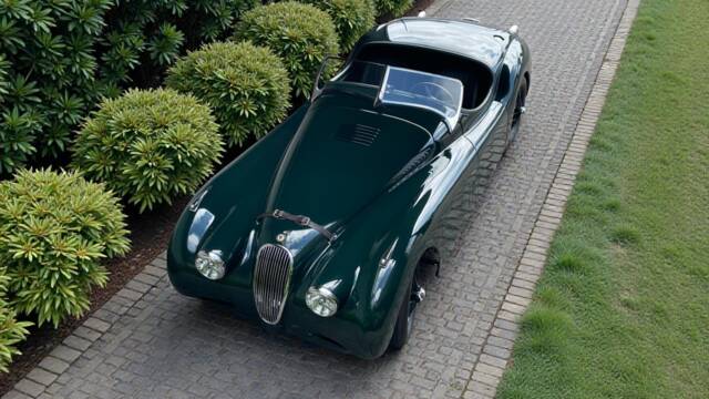 Bild 1/12 von Jaguar XK 120 OTS (1952)