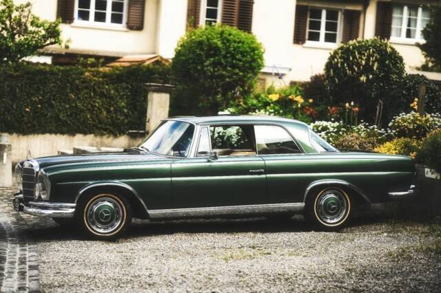 Bild 1/9 von Mercedes-Benz 250 SE (1966)