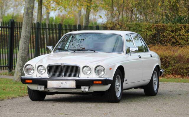 Bild 1/68 von Jaguar XJ 6 4.2 (1985)