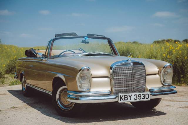 Bild 1/8 von Mercedes-Benz 250 SE (1966)