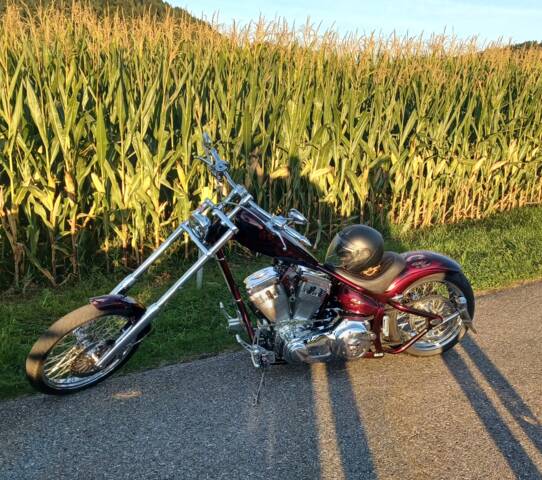 Image 1/15 de Harley-Davidson DUMMY (2007)