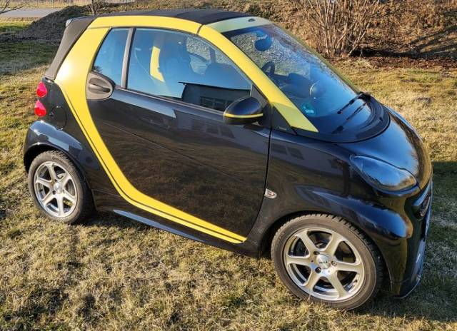 Image 1/9 of Smart Fortwo Brabus "Edition Moscot" (2015)