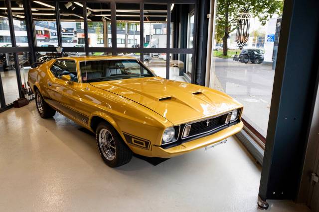 Bild 1/46 von Ford Mustang Mach 1 (1973)