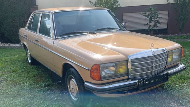 Bild 1/52 von Mercedes-Benz 280 (1976)