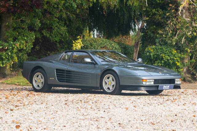 Bild 1/19 von Ferrari Testarossa (1988)