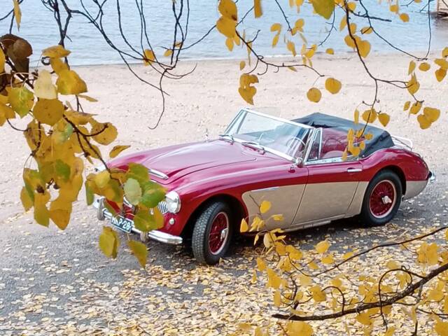 Immagine 1/23 di Austin-Healey 3000 Mk II (BJ7) (1964)