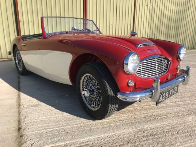 Afbeelding 1/8 van Austin-Healey 3000 Mk I (BT7) (1959)