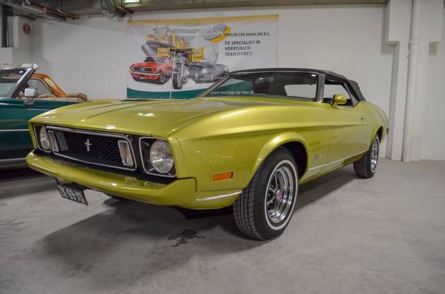 Bild 1/21 von Ford Mustang 250 (1973)