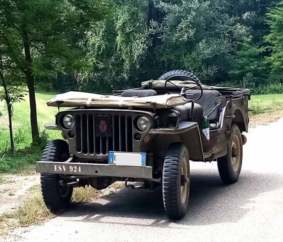 Afbeelding 1/25 van Willys MB (1943)