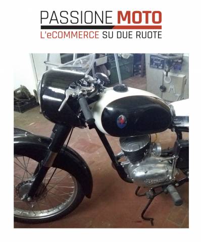 Imagen 1/5 de Maserati DUMMY (1955)