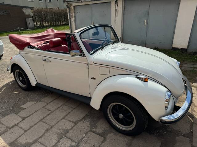 Bild 1/16 von Volkswagen Käfer 1302 S (1972)