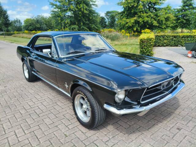 Image 1/8 of Ford Mustang 289 (1967)