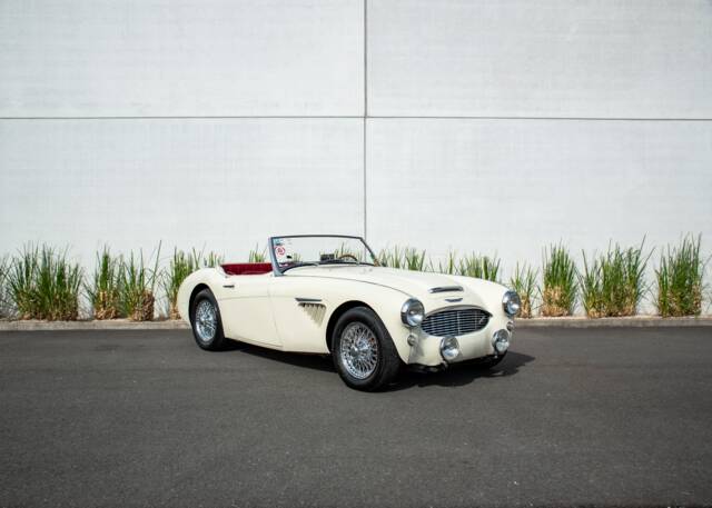 Bild 1/24 von Austin-Healey 100/6 (BN4) (1957)
