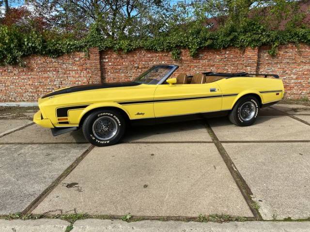 Image 1/9 of Ford Mustang 302 (1973)