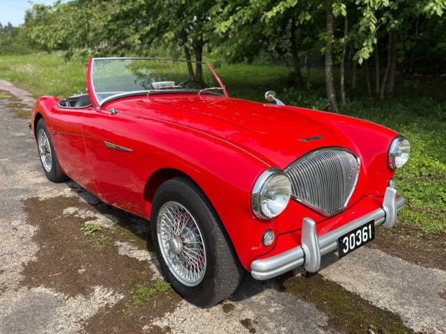 Image 1/12 de Austin-Healey 100&#x2F;4 (BN1) (1954)