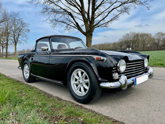 Bild 1/25 von Triumph TR 250 (1968)