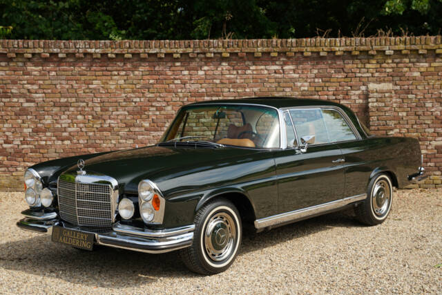 Bild 1/50 von Mercedes-Benz 280 SE 3,5 (1971)