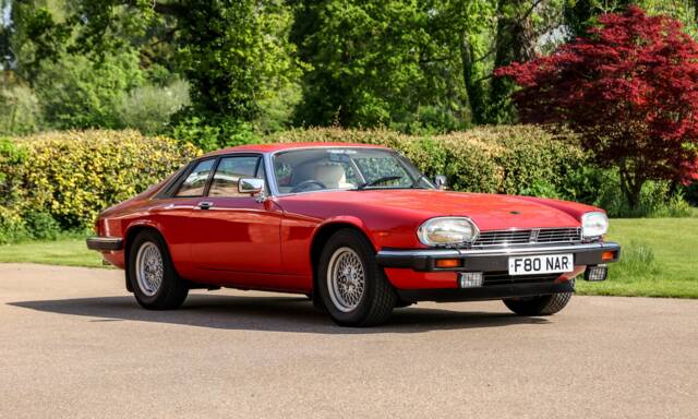 Image 1/43 of Jaguar XJS 5.3 V12 (1988)