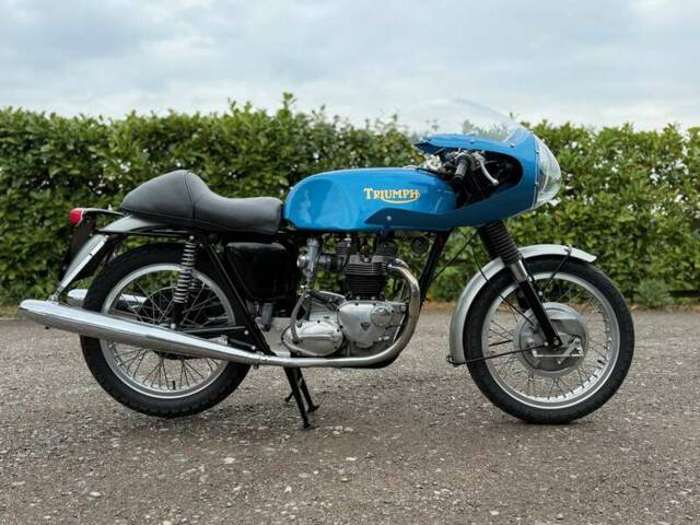 Imagen 1/37 de Triumph DUMMY (1966)