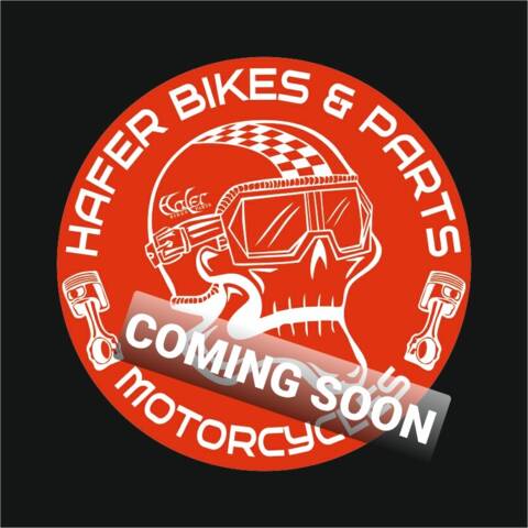 Image 1/4 of Bimota DUMMY (2009)