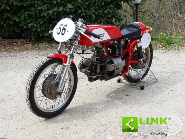 Immagine 1/25 di Aermacchi Ala Rossa 175 (1962)