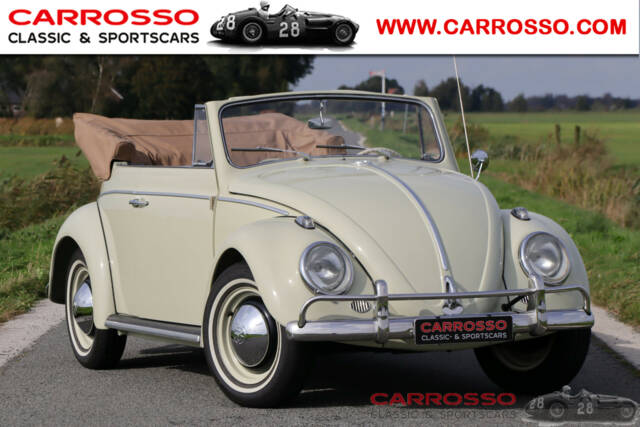 Image 1/50 of Volkswagen Beetle 1200 (1963)