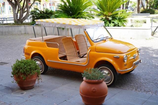 Immagine 1/10 di FIAT Ghia 500 Jolly (1970)