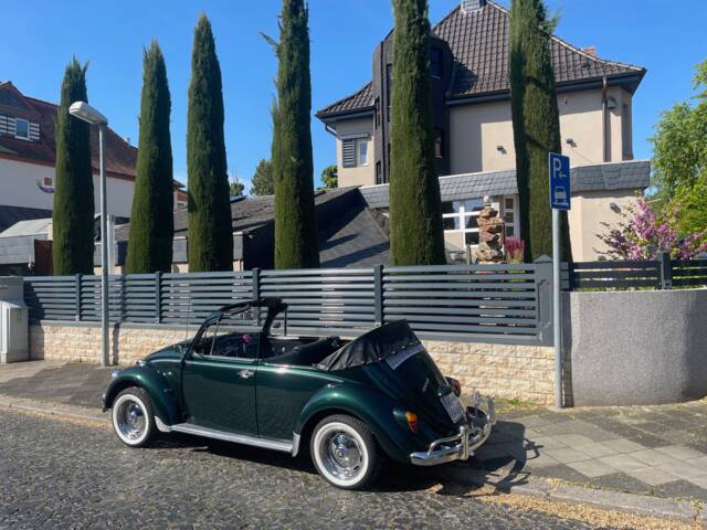 Bild 1/9 von Volkswagen Käfer 1300 (1966)