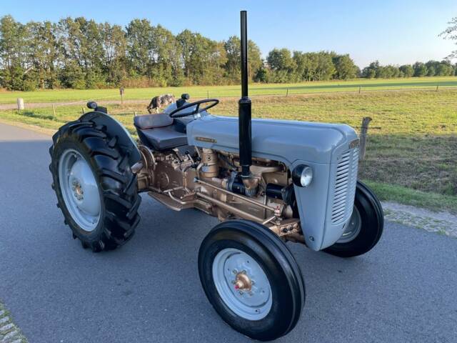 Bild 1/8 von Massey-Ferguson MF 35 (1957)