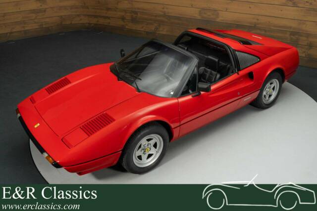 Image 1/19 of Ferrari 308 GTSi (US) (1982)