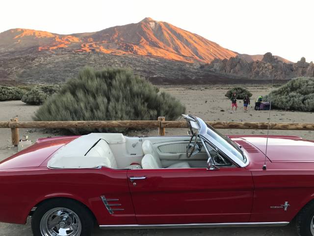 Image 1/15 of Ford Mustang 289 (1966)